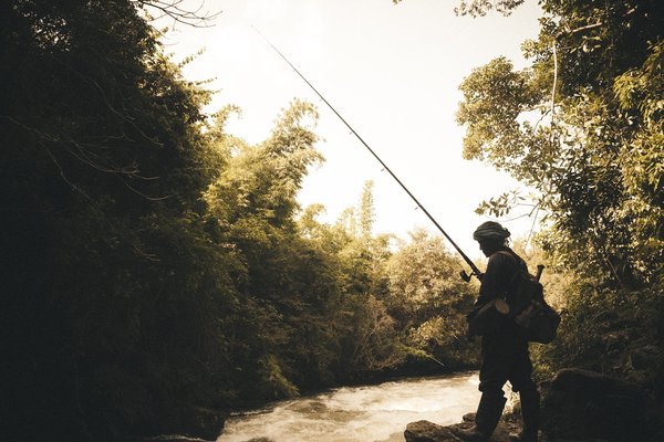 La chasse et la pêche dans l'Indre : tout ce que vous devez savoir !