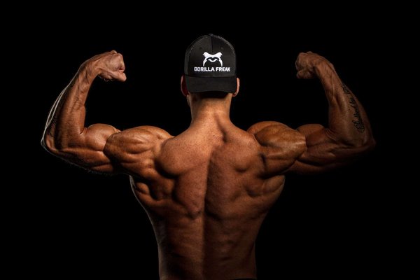 Quels sont les bienfaits de la musculation et du combat sur la santé physique et mentale ?